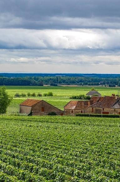 GreenGo - Gîtes en Bourgogne-Franche-Comté